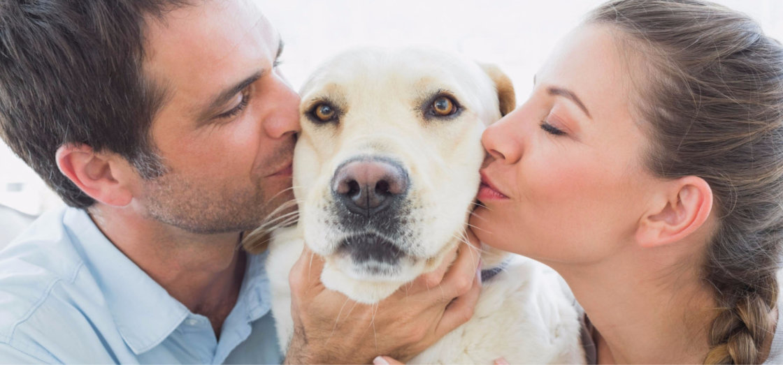 Euthanasie voor honden