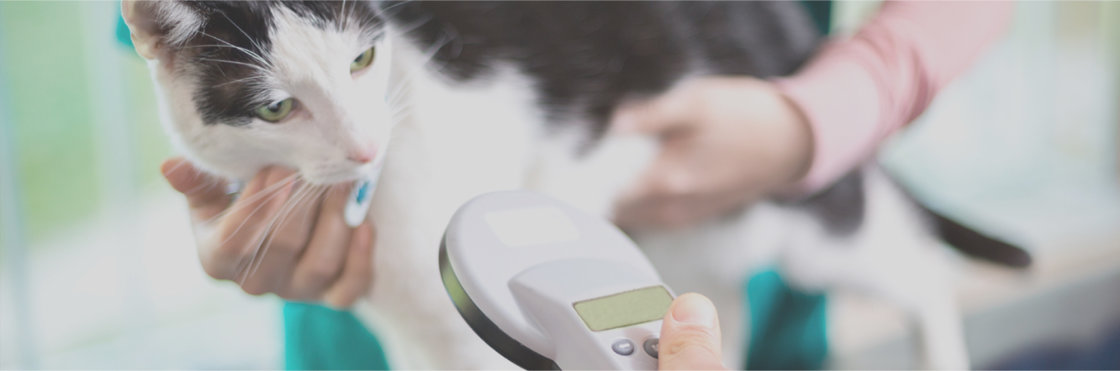 microchip kat microchip kat