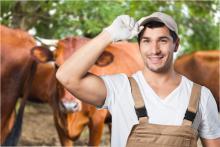 uiergezondheid, preventie mastitis